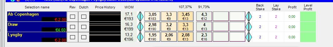 Gruss Software Example.PNG